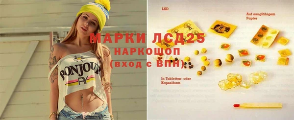 дживик Слюдянка