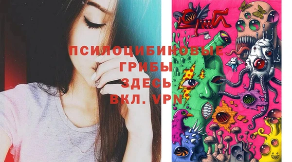 прущая мука Верея