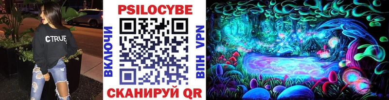 Псилоцибиновые грибы мицелий  Мещовск 